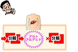 二日酔いになる原因